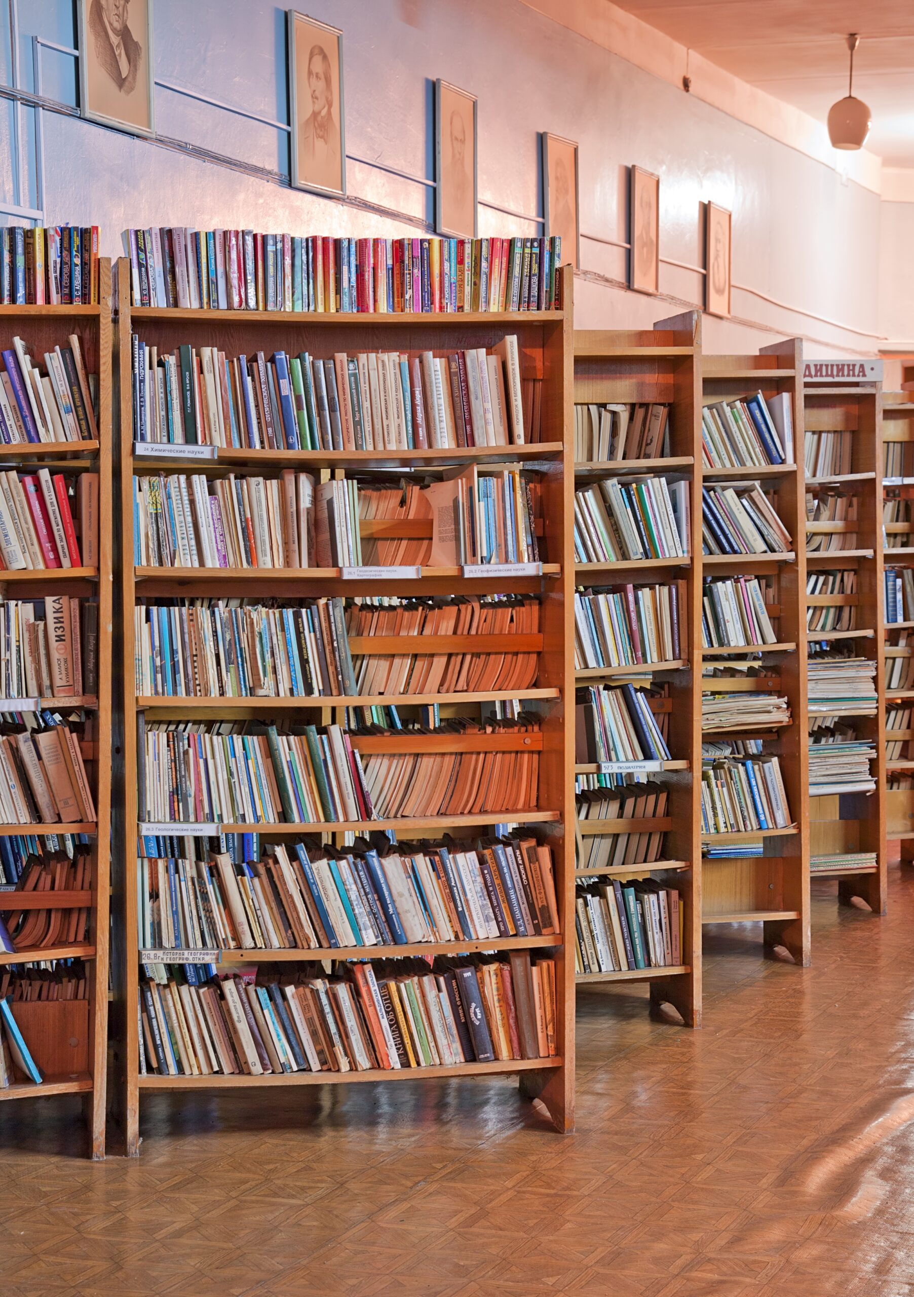 Boghylder i biblioteket i Pereslavl, opkaldt efter Arkadija Malasjenko